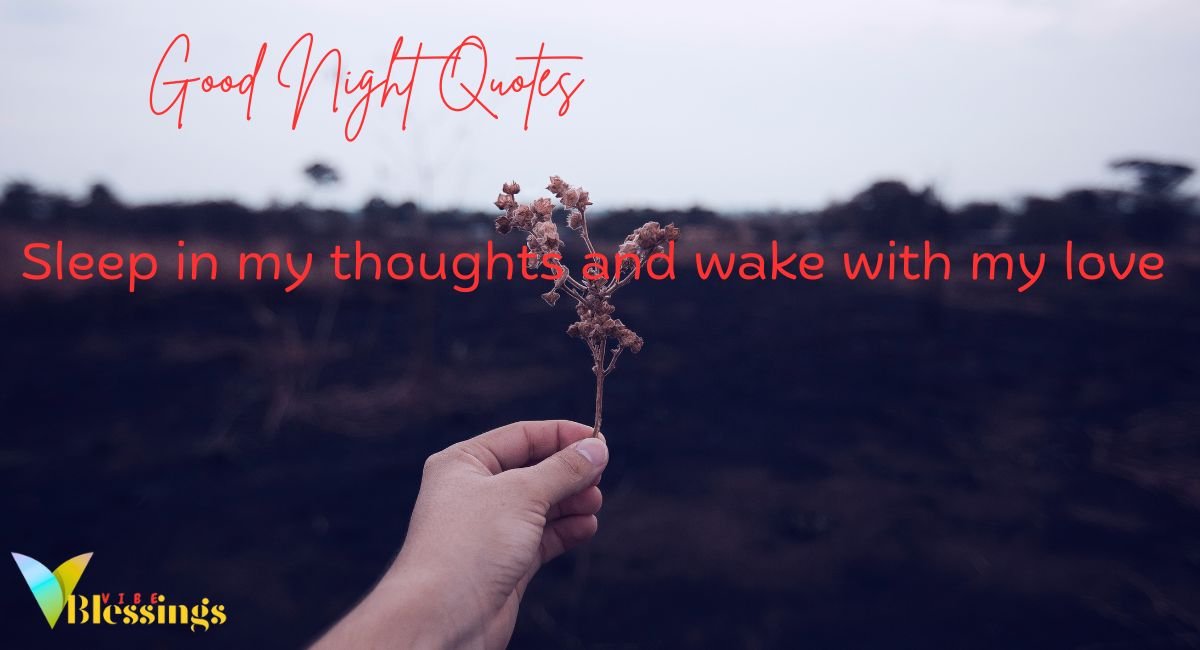 Good Night Quotes for Different Relationships