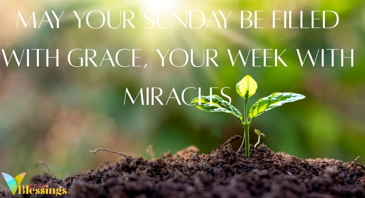 Beautiful Sunday Morning Blessings with Gratitude Themes