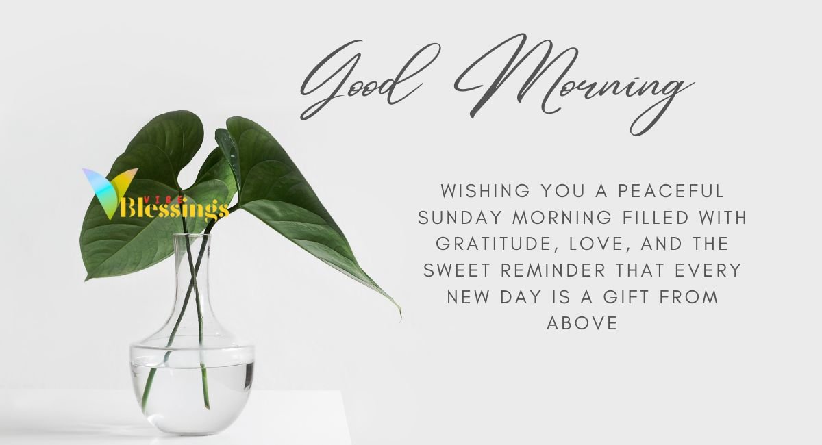 Good Morning Sunday Blessings 