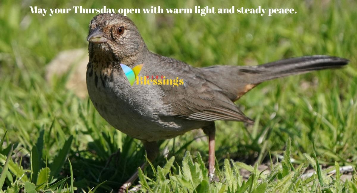 Powerful Thursday Blessings for a Fresh Start