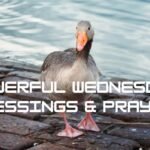 Powerful Wednesday Blessings & Prayers