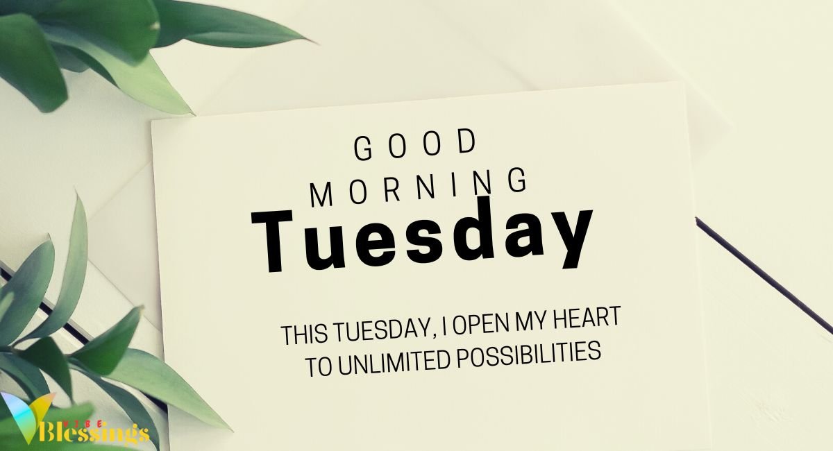 Real Stories: How Americans Transformed Their Tuesdays with Morning Blessings