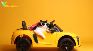 225+ Funny New Car Quotes, Wishes, and Blessings (No-Prayer Edition)