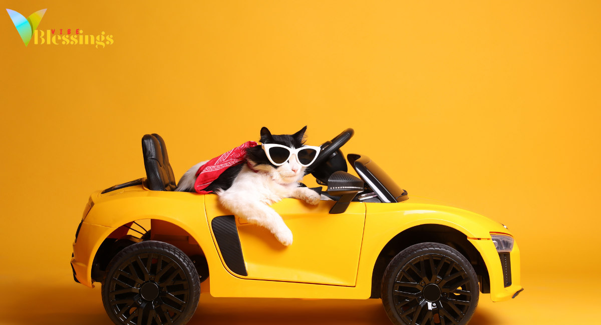 225+ Funny New Car Quotes, Wishes, and Blessings (No-Prayer Edition)