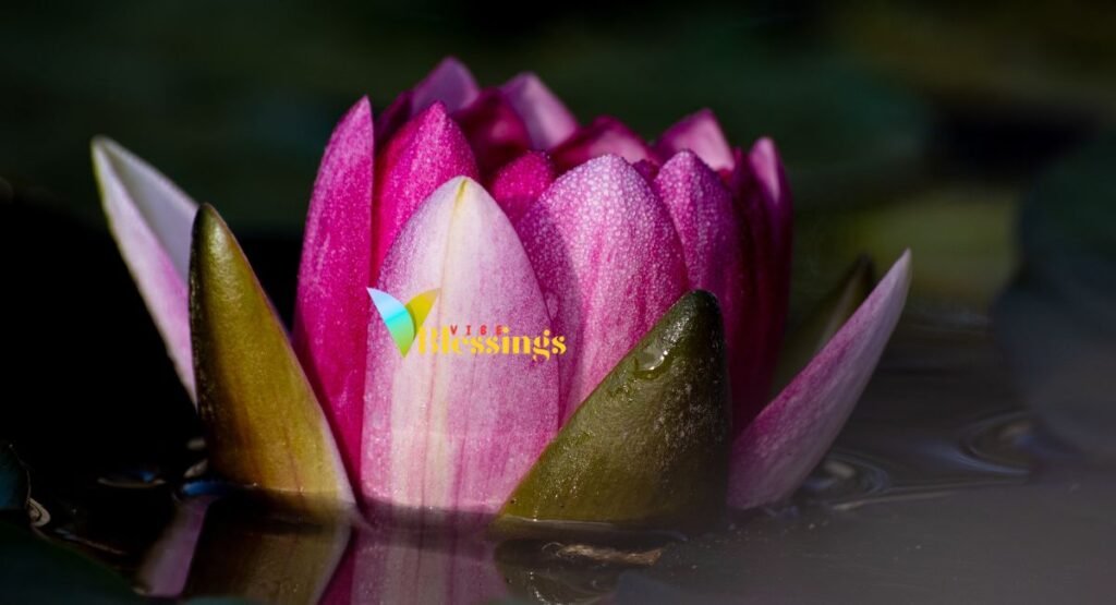 How the 30-day Challenge Works