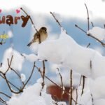 150+ New Month Quotes to Inspire Motivation, Goals & Fresh Starts