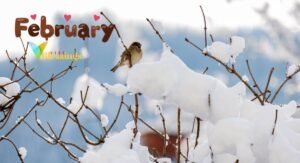 150+ New Month Quotes to Inspire Motivation, Goals & Fresh Starts