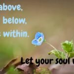 105+ Best Nature Instagram Captions for Stunning Outdoor Photos 2026