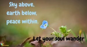 105+ Best Nature Instagram Captions for Stunning Outdoor Photos 2026