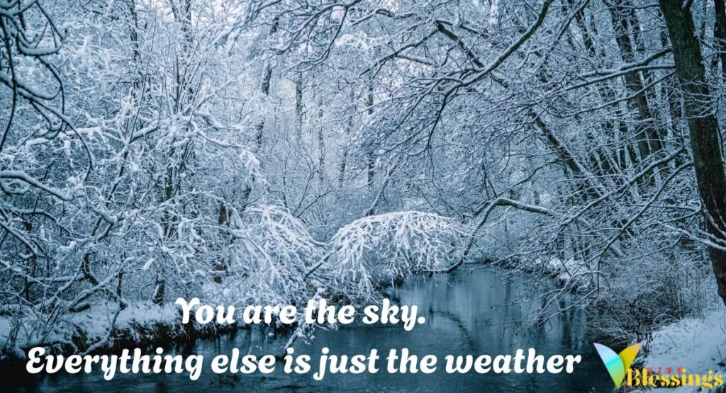 Balance & Wellbeing Quotes