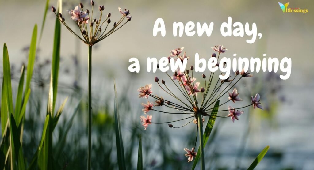 The Classics: Timeless Nature Captions