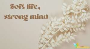 WhatsApp Status Quotes 2026: Short, Aesthetic & Real Vibes