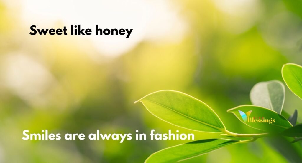 Best Instagram Captions for Girls