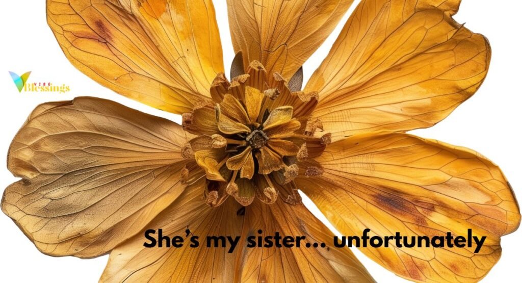 Cute & Sweet Captions for Your Sister