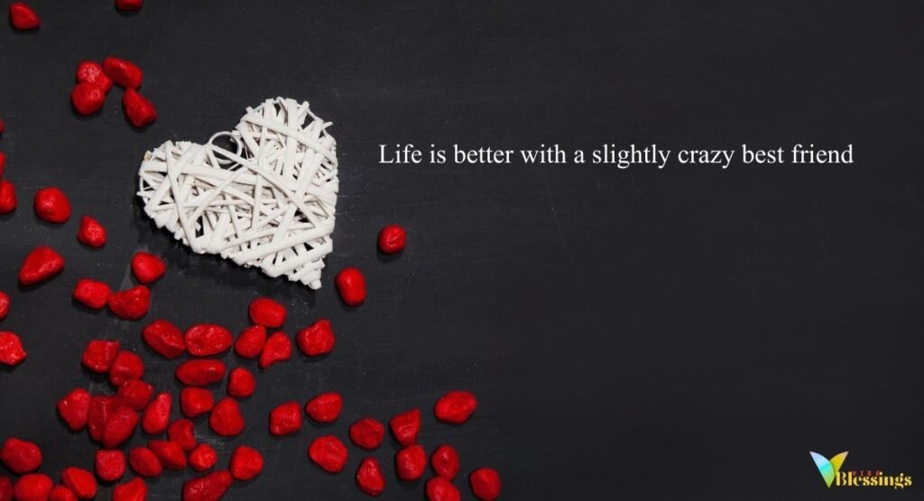 Funny Captions for Best Friends