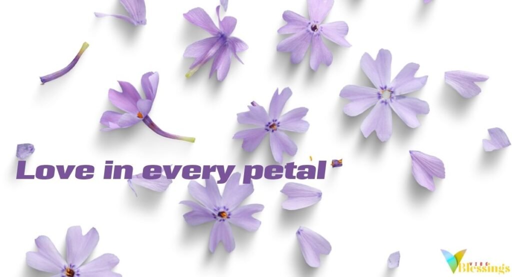 Sunflower Captions for Instagram 🌻